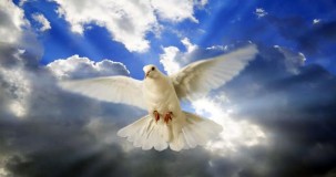 Rüyada Beyaz Güvercin Görmek: Anlamları ve Yorumlar